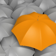 In einem Meer aus weißen Regenschirmen sticht ein oranger hervor